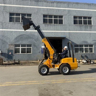 Mynegi Llwythwr Boom